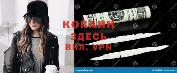 мдпв Михайловск