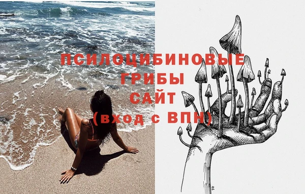 индика Вязьма